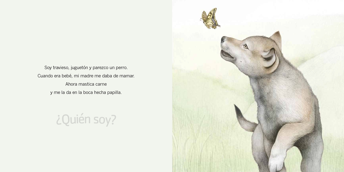 ¿Quién soy? Crías de animales. Europa