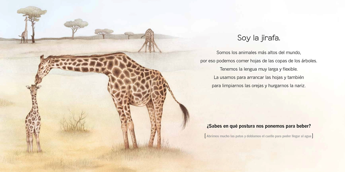 ¿Quién soy? Crías de animales. África