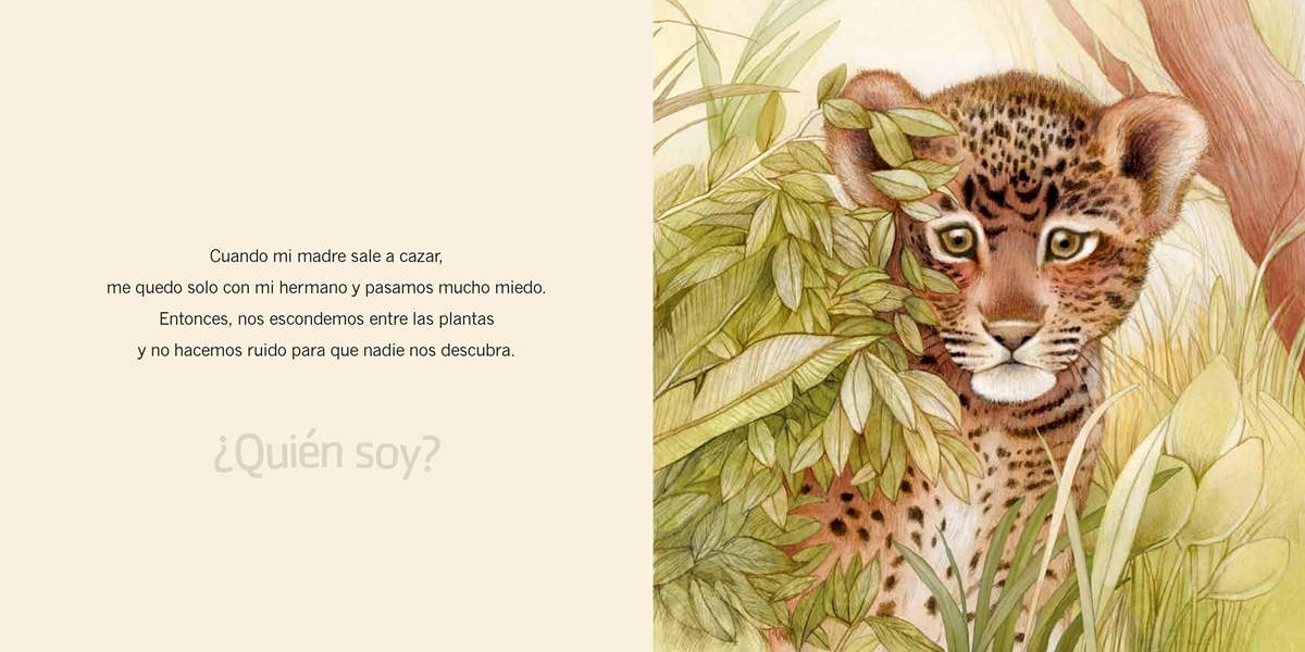 ¿Quién soy? Crías de animales. América