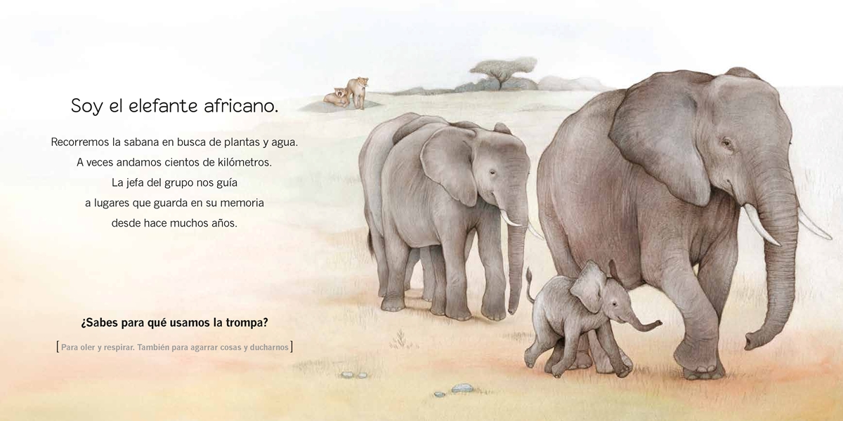 ¿Quién soy? Crías de animales. África