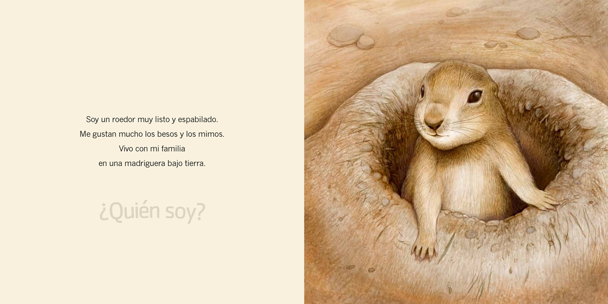 ¿Quién soy? Crías de animales. América